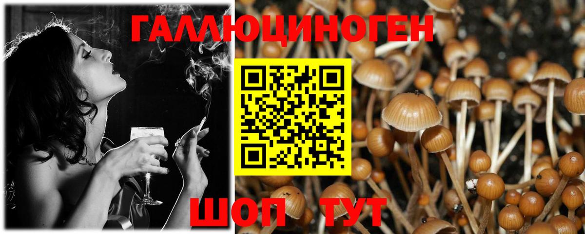 Ухта  Псилоцибиновые грибы Psilocybe  Вход с VPN 