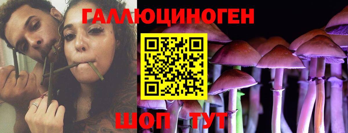Галлюциногенные грибы ЛСД Ухта